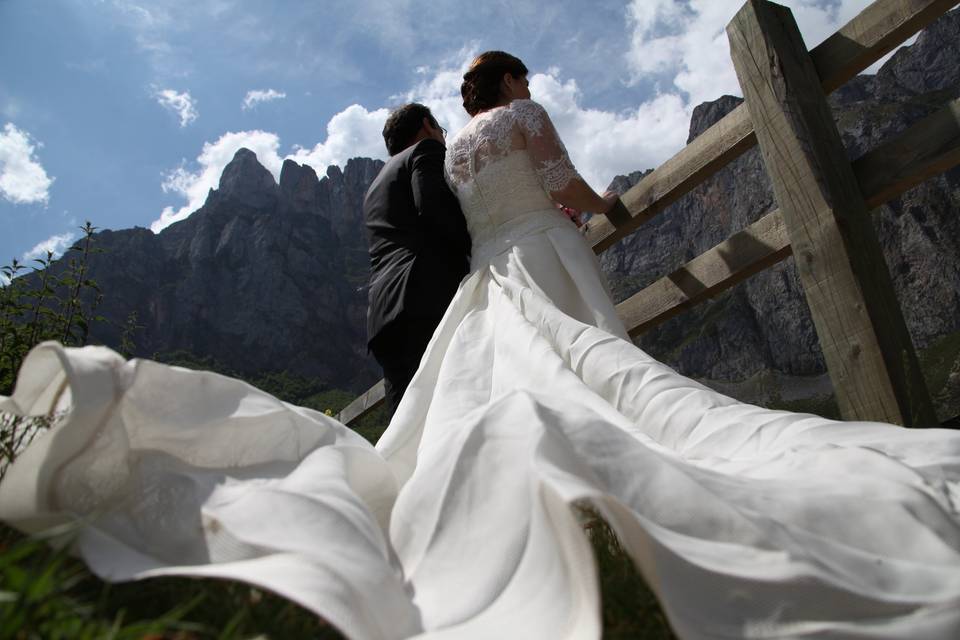 Picos de Europa