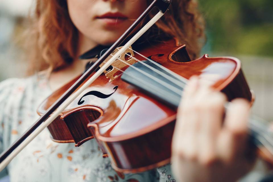 Violín para bodas