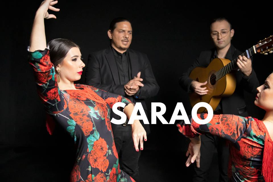 Show de rumba flamenca