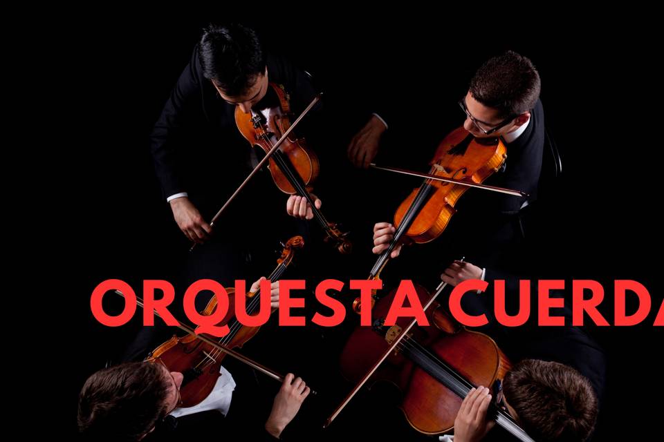 Orquesta de cuerda