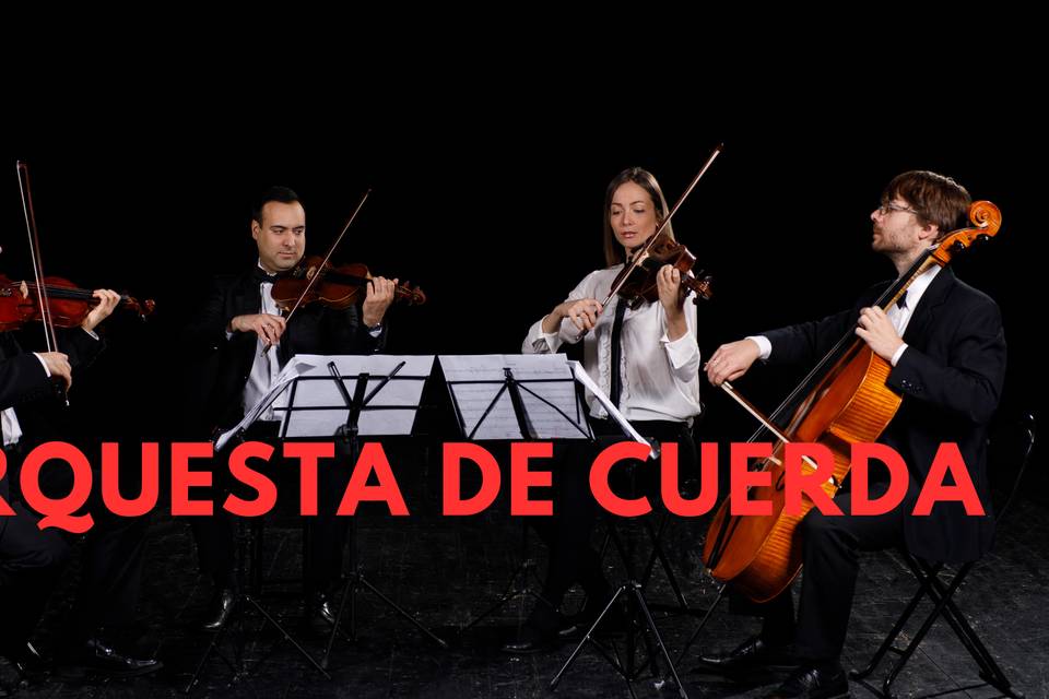 Orquesta de cuerda