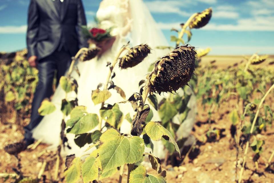 Boda en Zamora