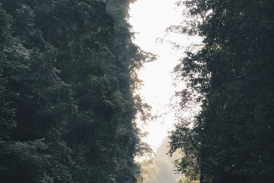 Indonesia