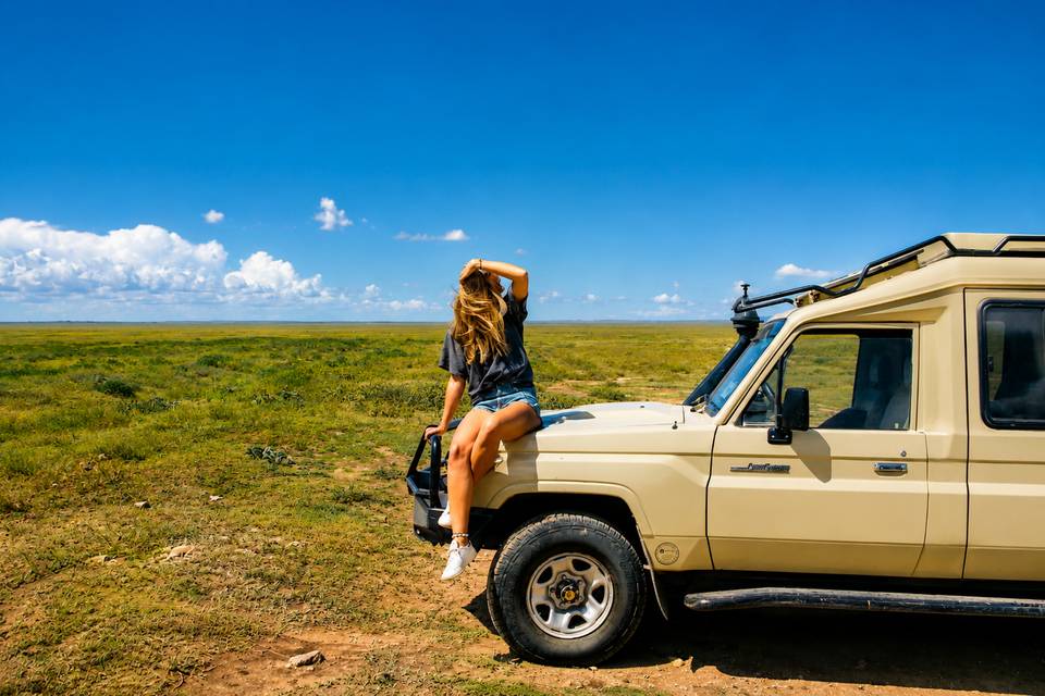 Safari