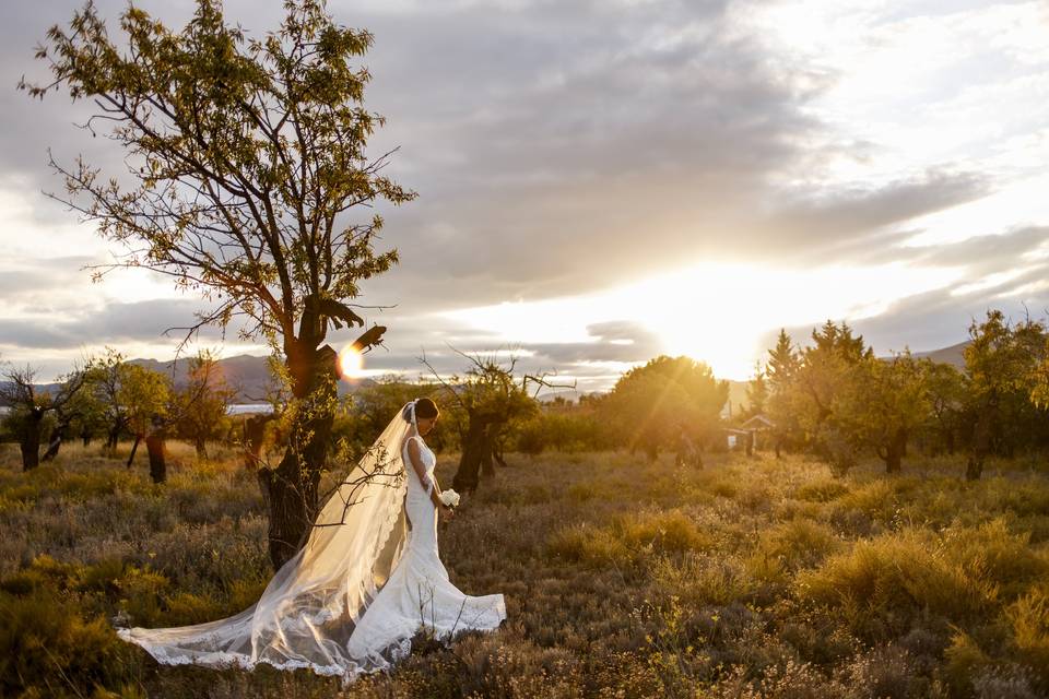 Postboda