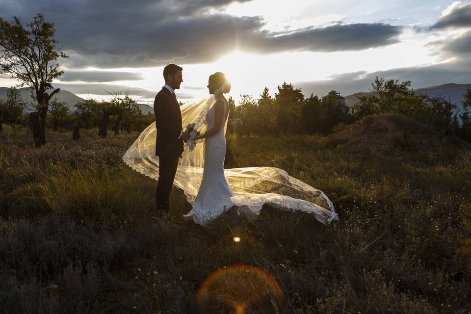 Postboda