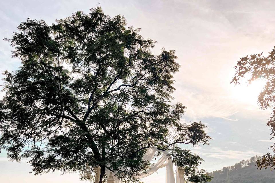 Ceremonia en el jardín