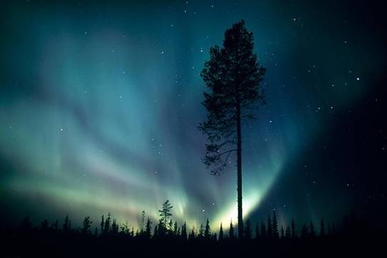 Aurora boreal