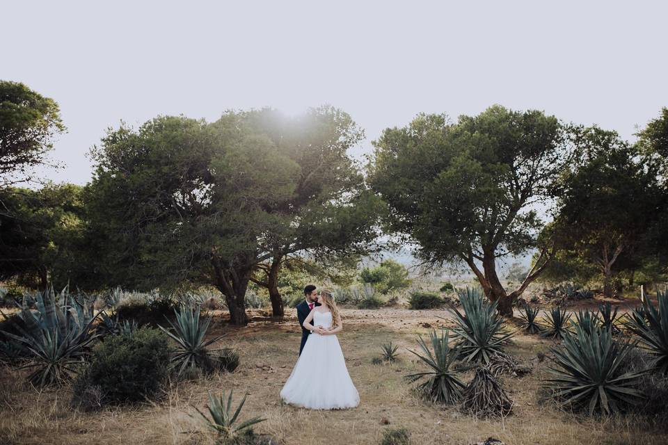 Postboda: Elia & Javi