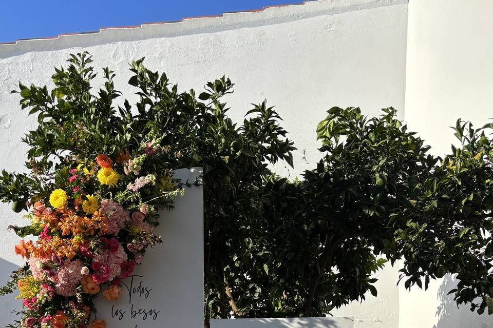 Bienvenida