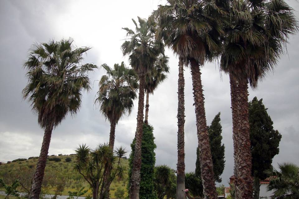 Finca Navafría