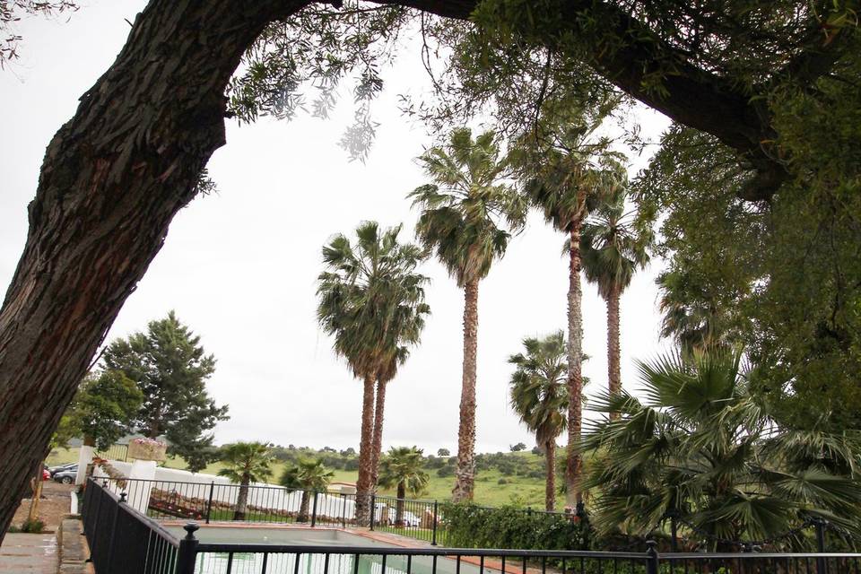 Finca Navafría