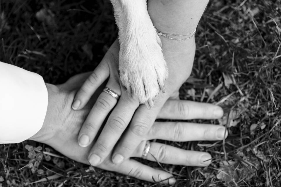 Posados / Postboda