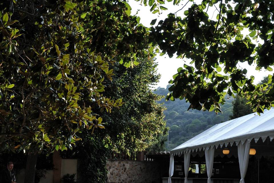 Masia Mas Coll