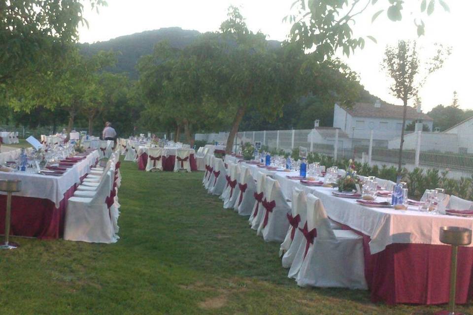 Eventos en jardín