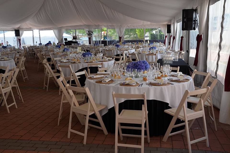 Carpa de boda