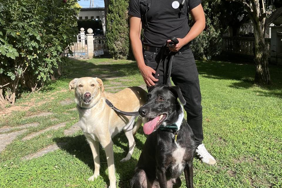 Paseito de antes