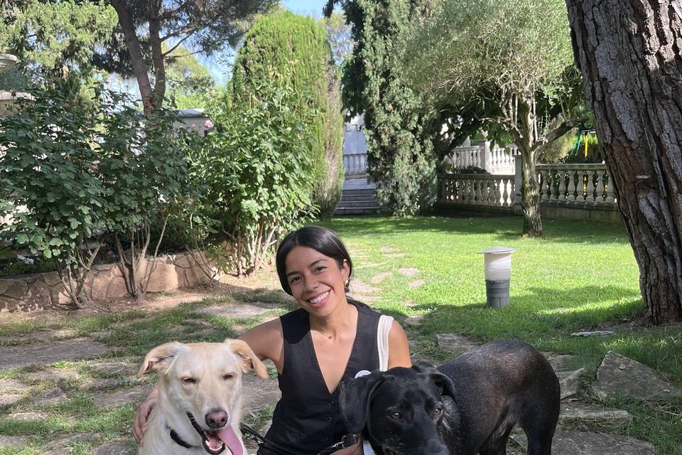 Equipo de 4 patas