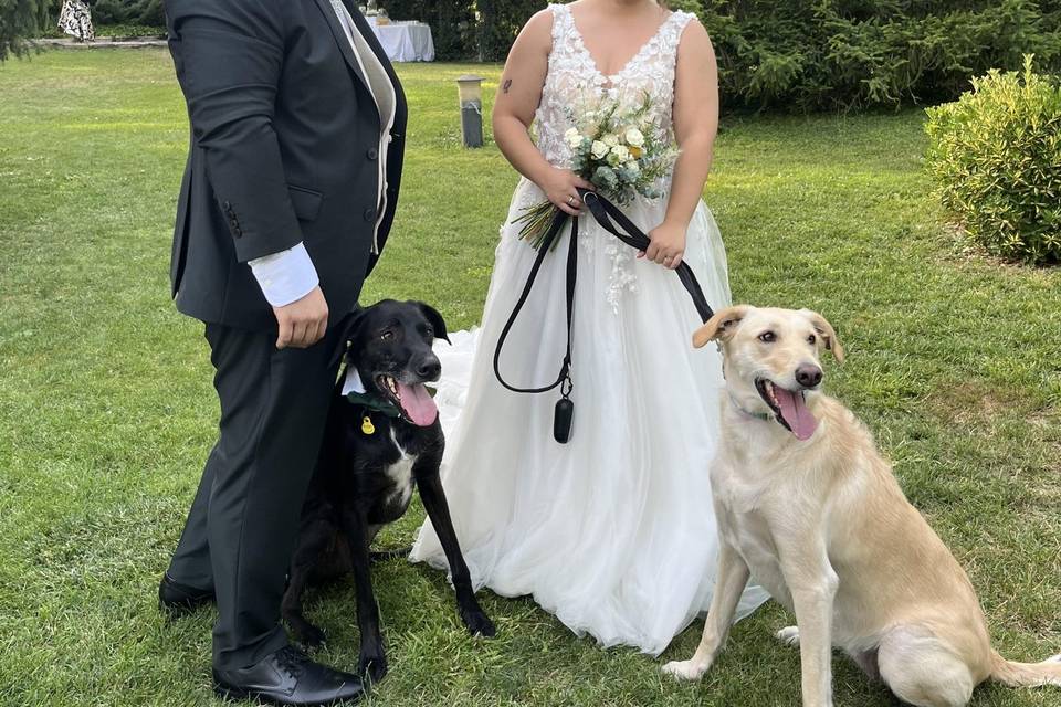 Lluna y Brownie cn los novios
