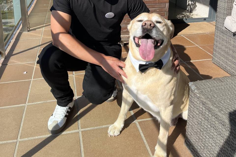 El invitado de honor