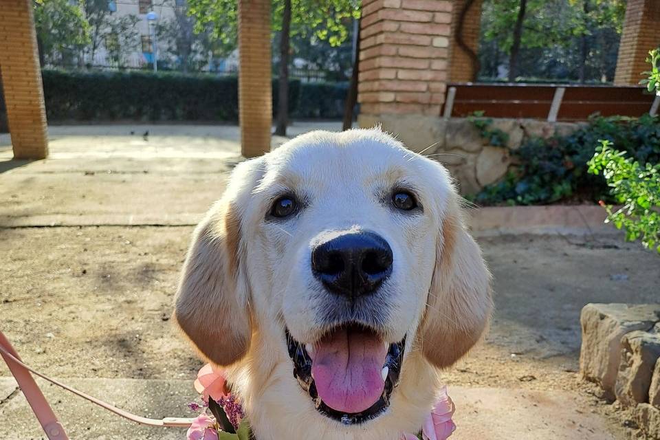 Fiona