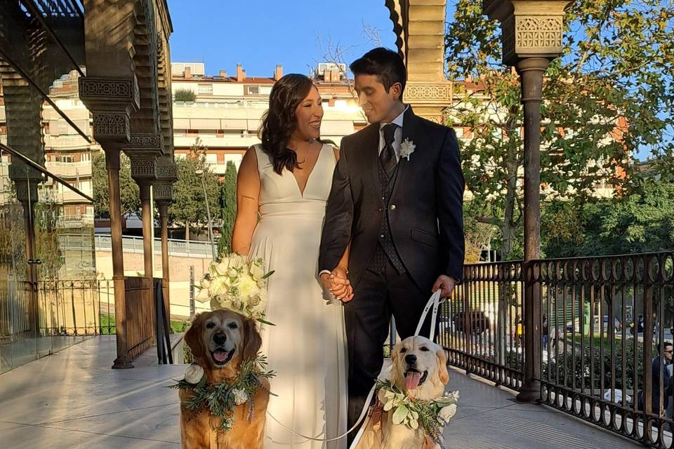 Guinardogs