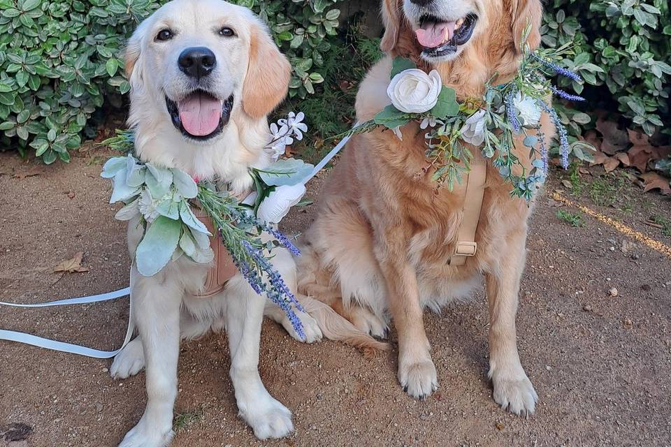Fiona & Olivia
