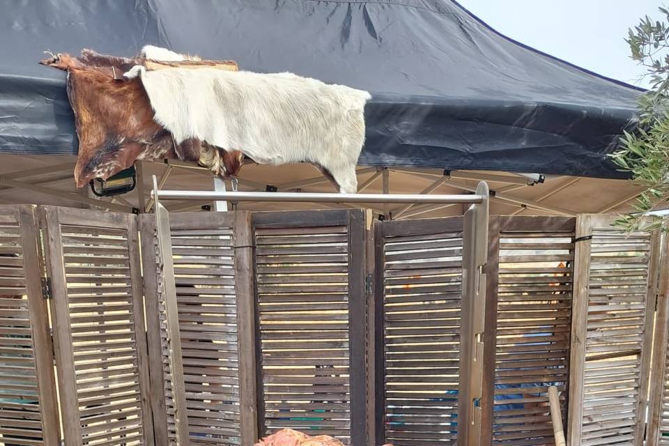 Carnes