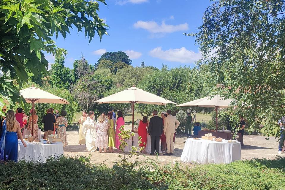 Aperitivo en nuestra finca