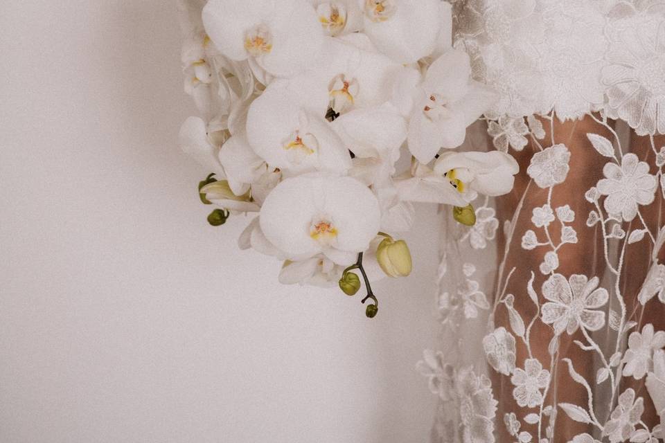 Tal Para Cual Fotografía y Vídeo