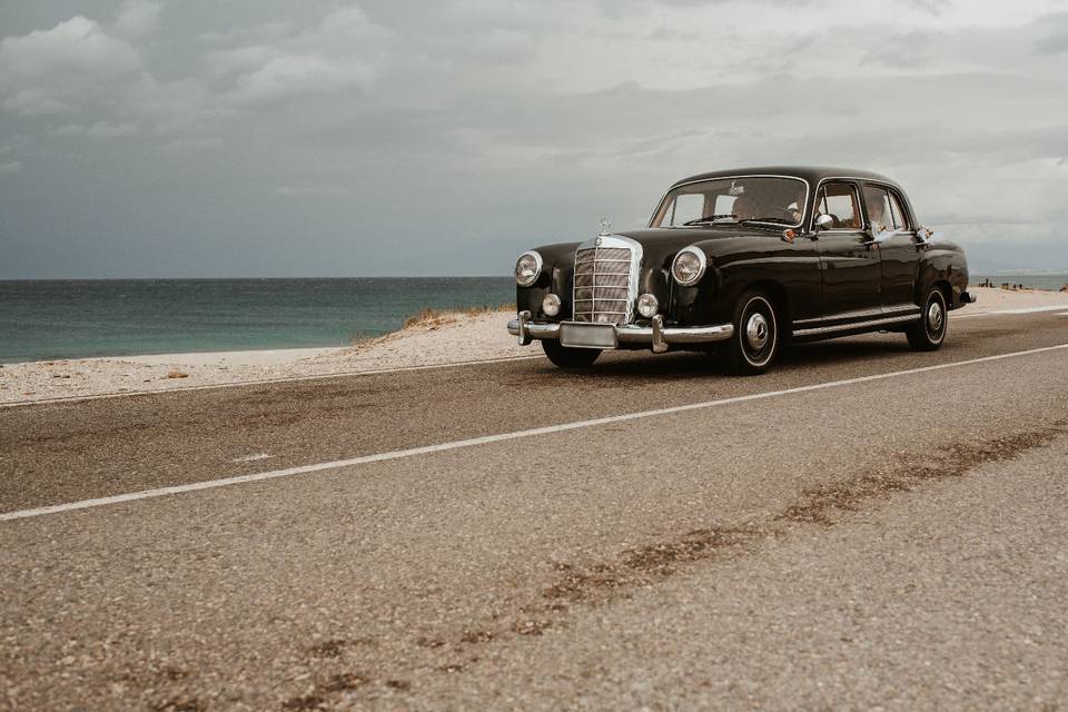 Mercedes Benz Pontón del 1951