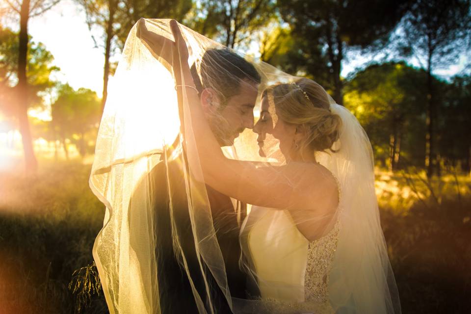 Boda en mirahuerta