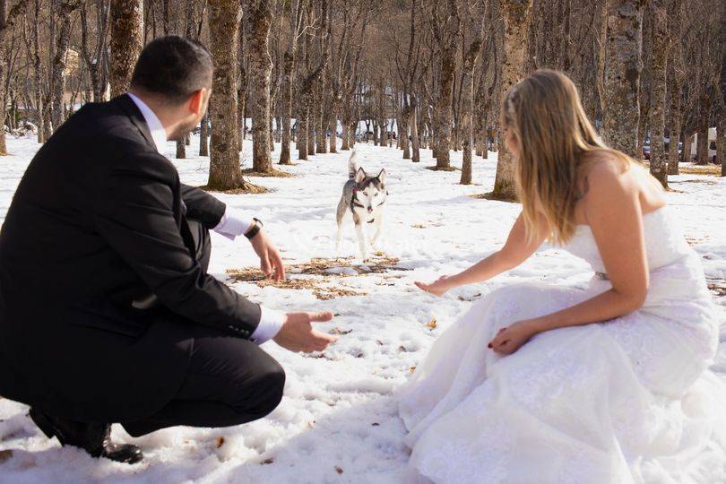 Boda en Zaragoza