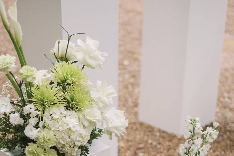 Verdes y blancos