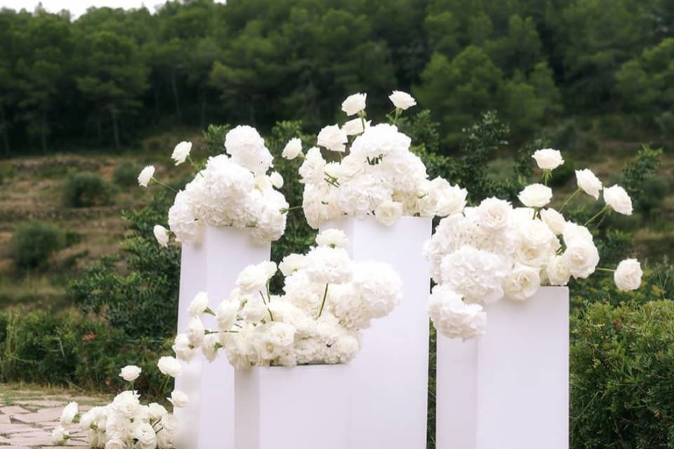 Ceremonia blancos