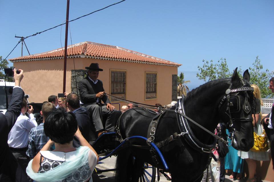 Cochero y ayudante uniformados