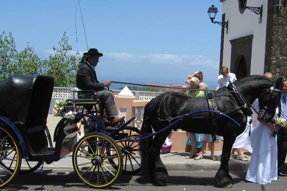 El Manchón - Centro Hípico