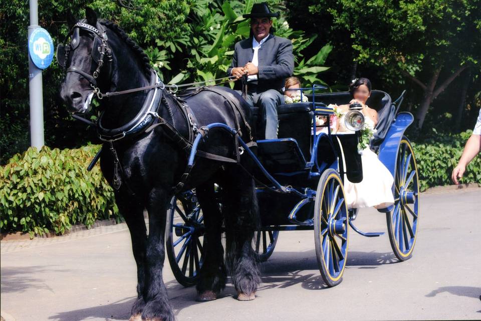 Coche de caballos