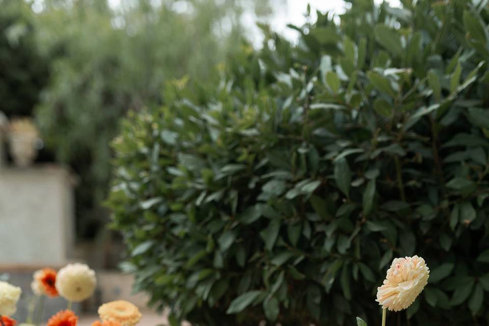 Detalle del pasillo