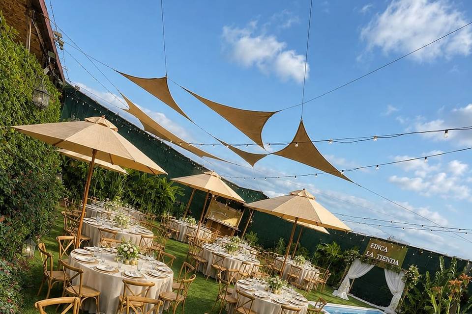 Boda crema