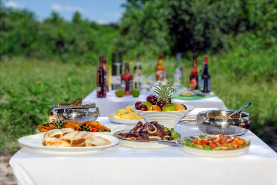 Picnic en la sabana