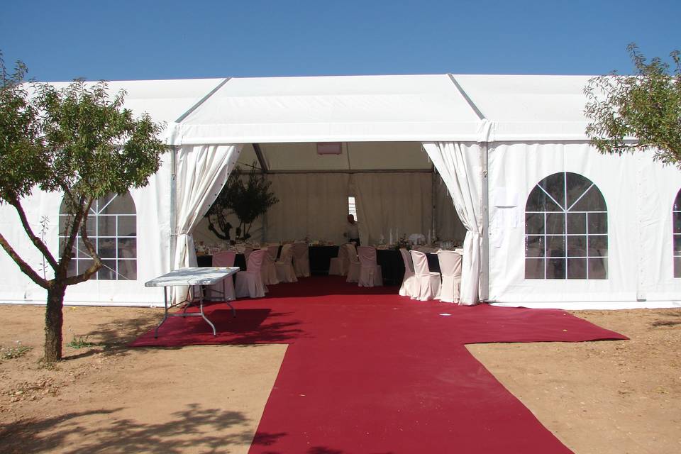 Boda en el campo