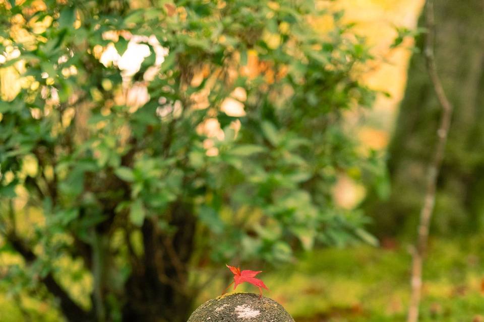 Templos en Kyoto