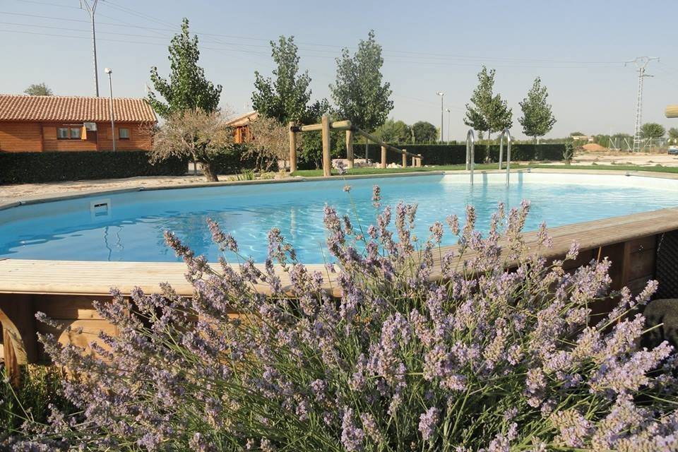 Piscina para alojamientos