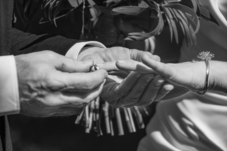 Los anillos