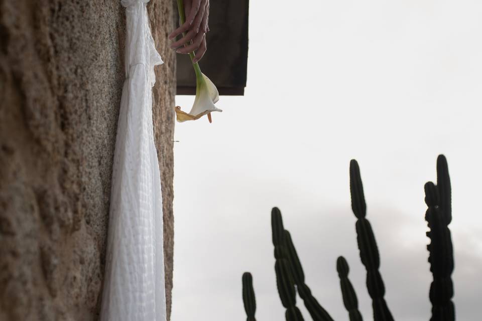 Un vestido y un captus
