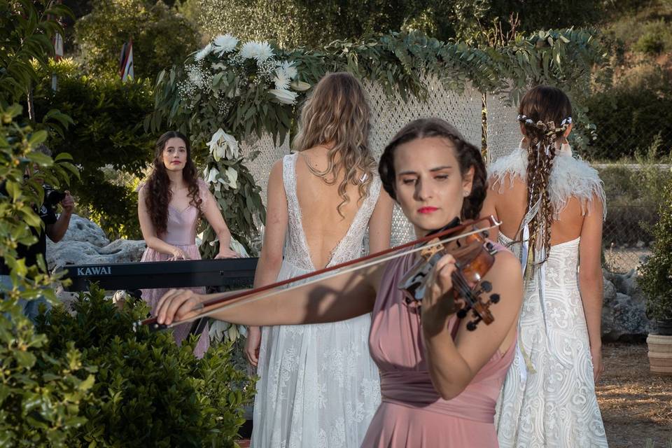 Desfile de novias