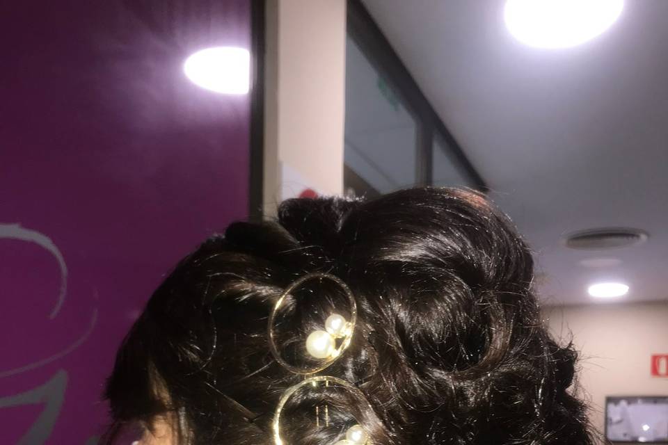 Recogido en pelo corto