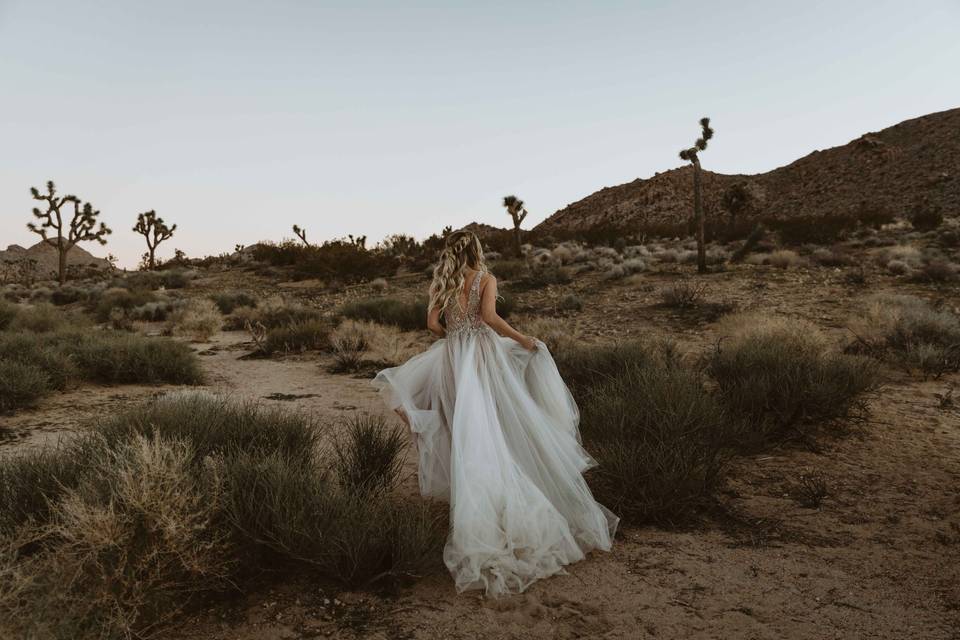 Tipi Weddings