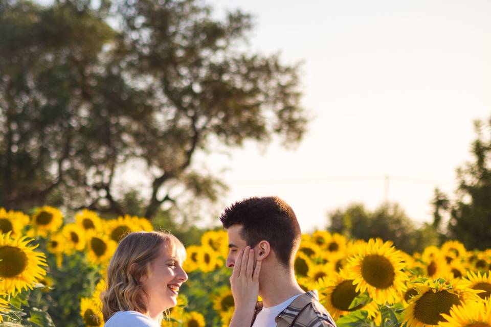 Preboda en girasoles